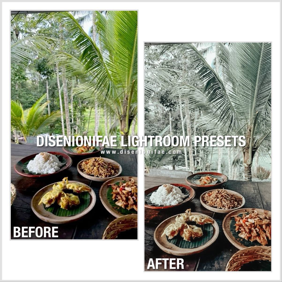 Tropical Collection Lightroom Presets