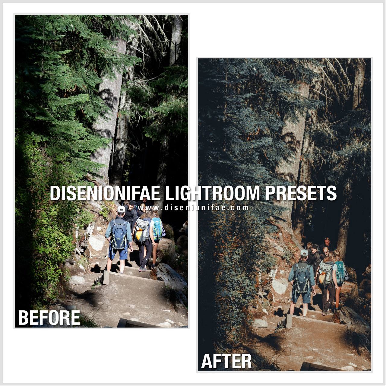 Hiking Collection Lightroom Presets