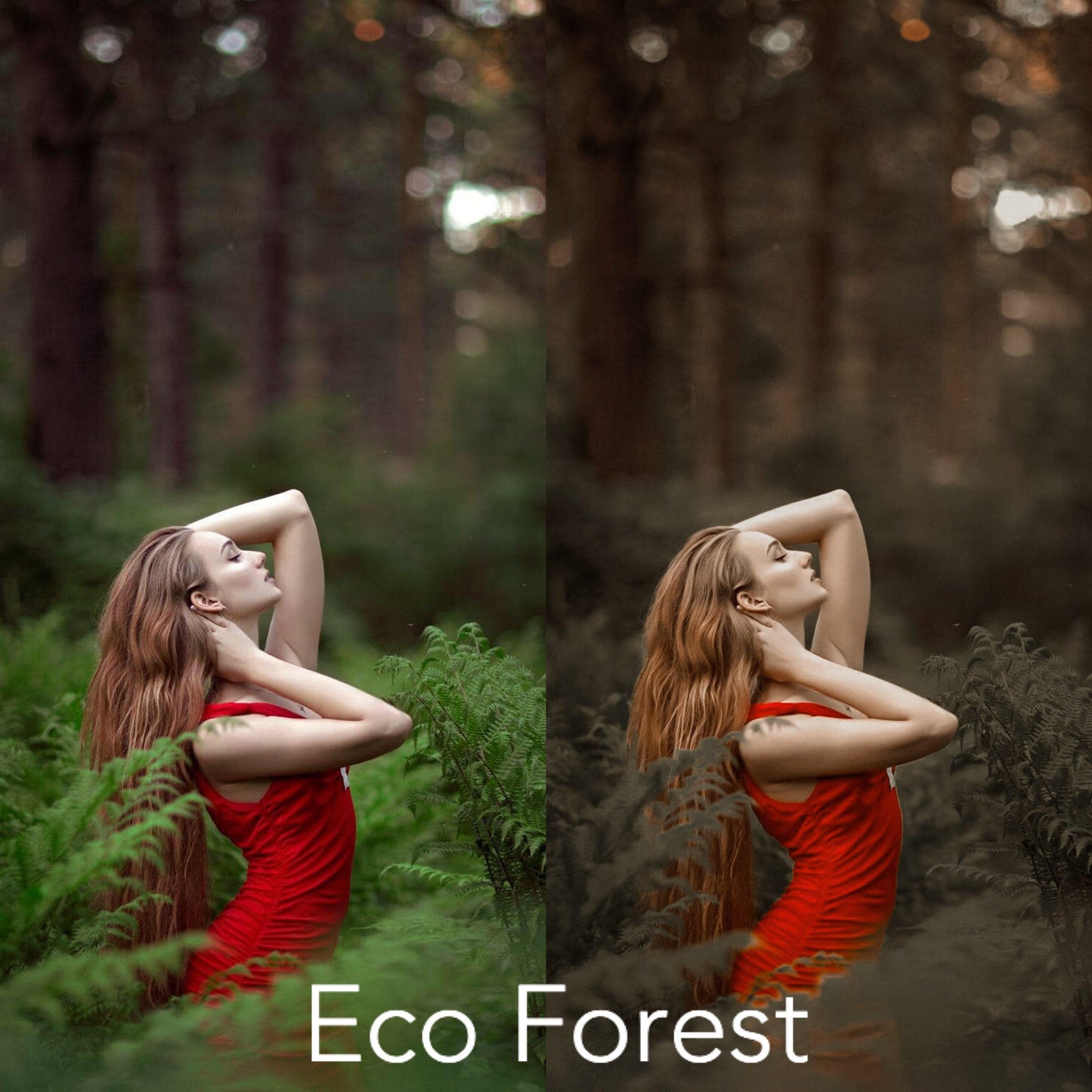 ECO LIGHTROOM PRESETS - PresetsbyFaye