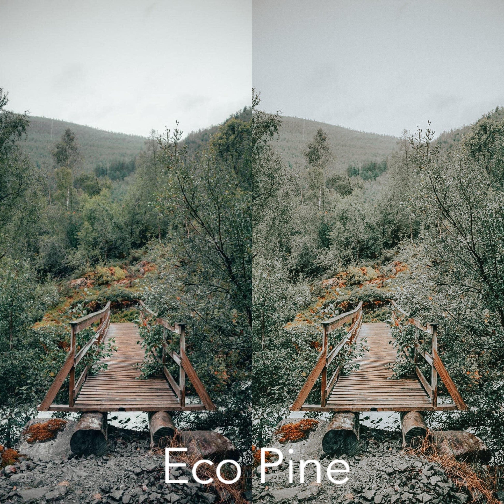 ECO LIGHTROOM PRESETS - PresetsbyFaye