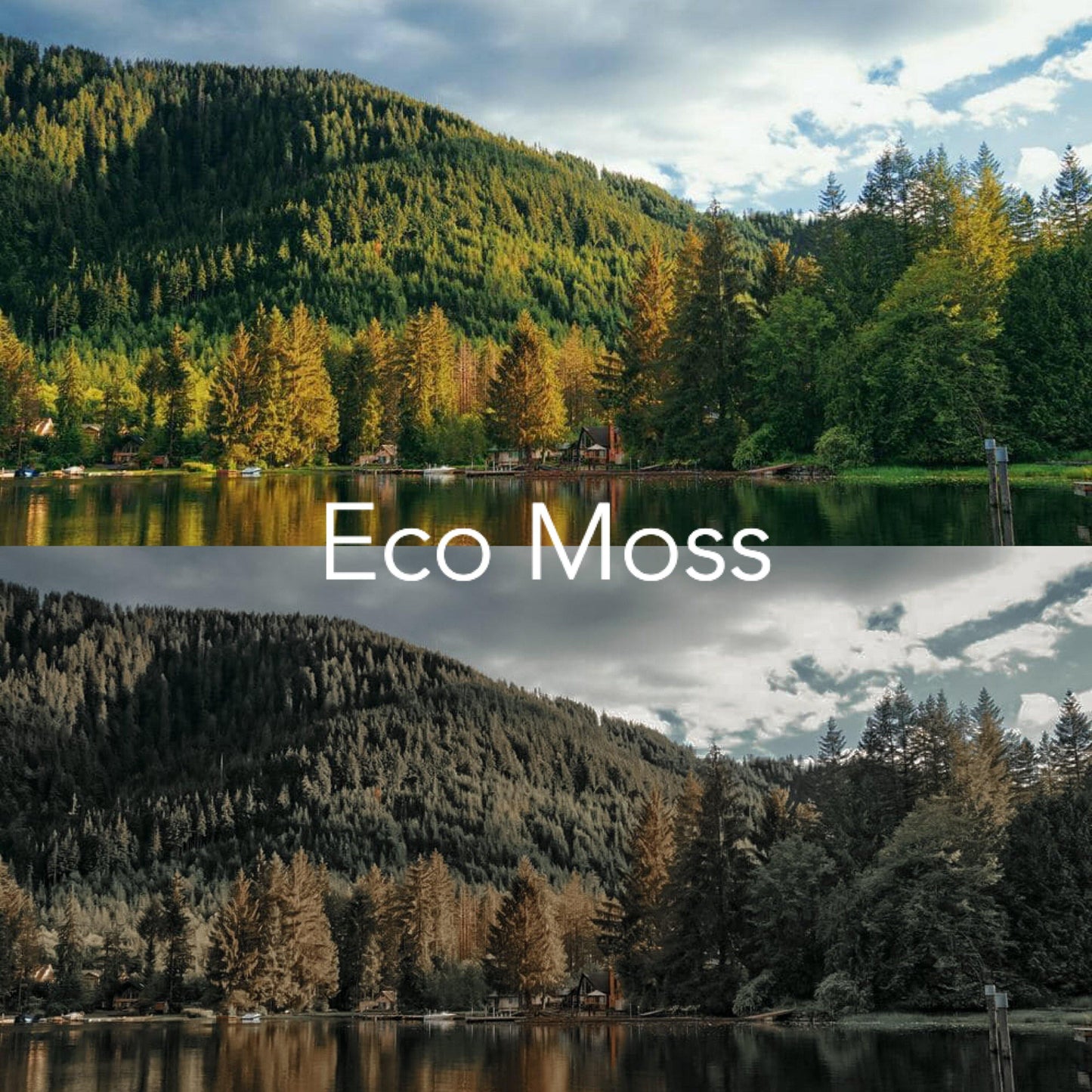 ECO LIGHTROOM PRESETS - PresetsbyFaye