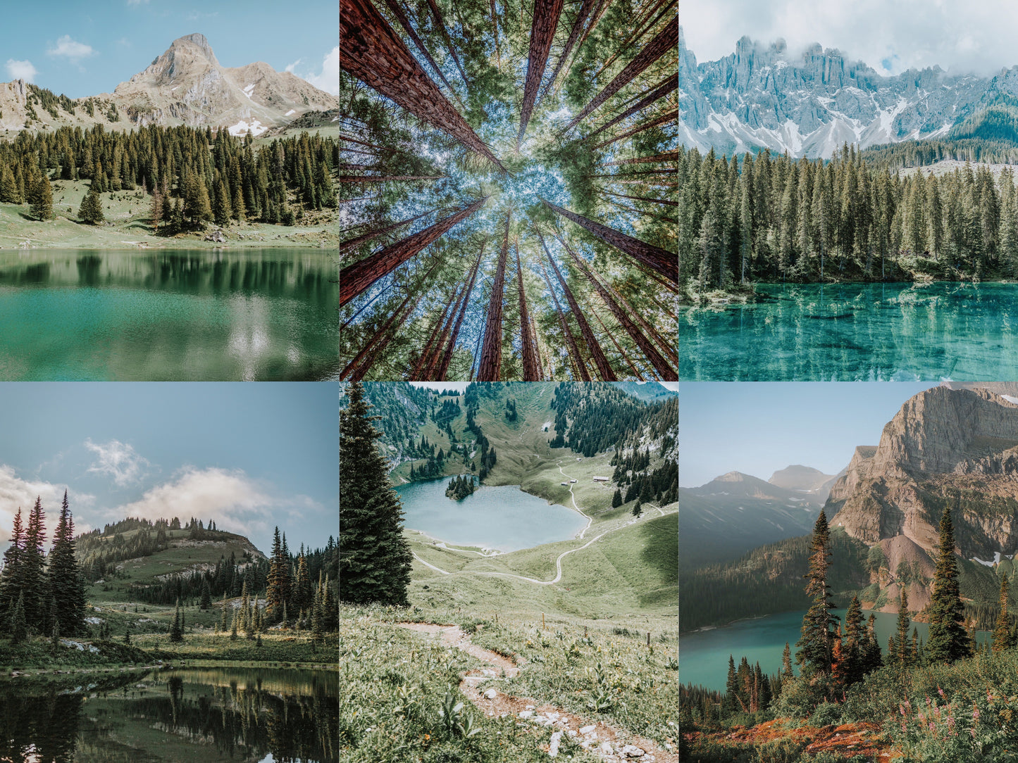 Eco Nature Lightroom Presets