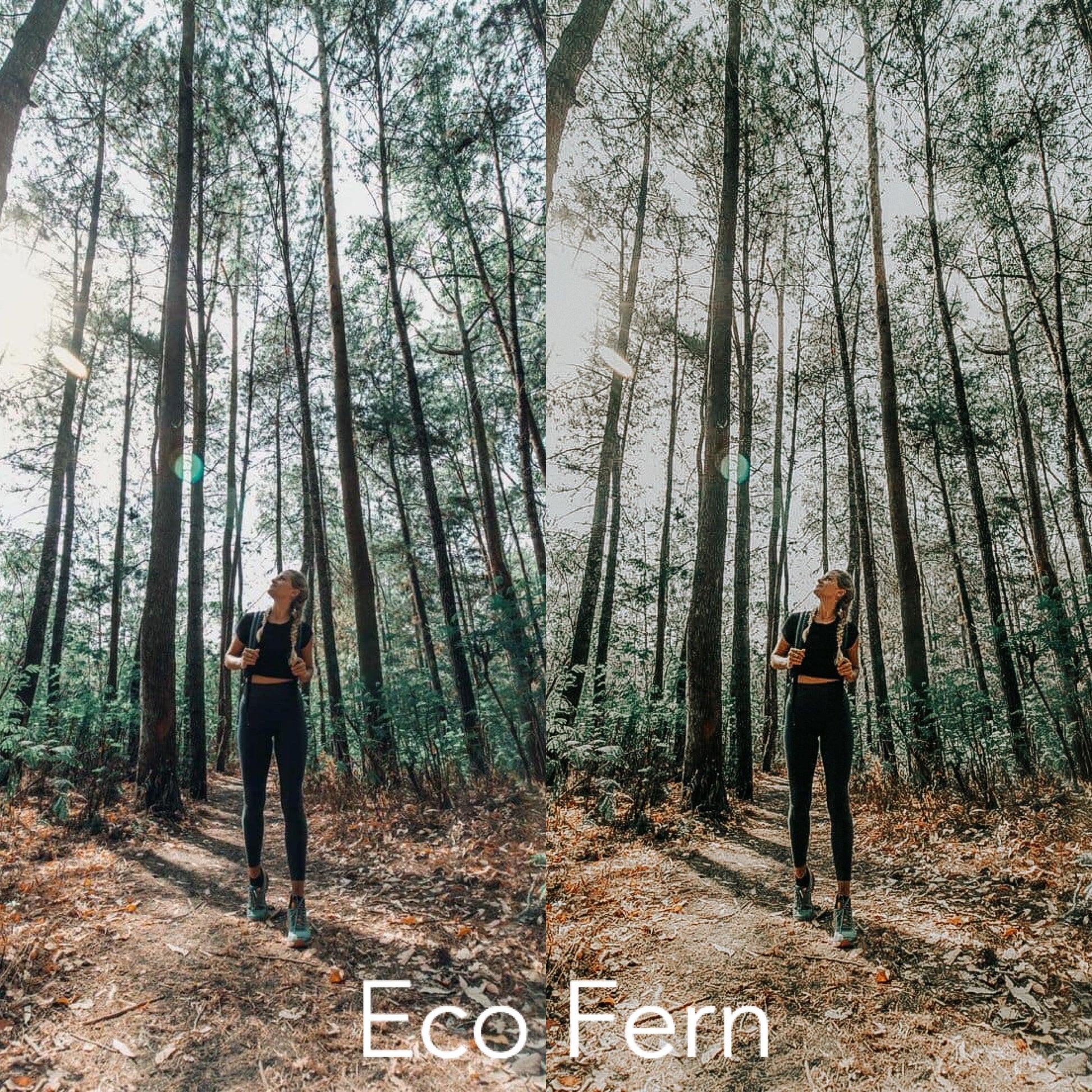 ECO LIGHTROOM PRESETS - PresetsbyFaye